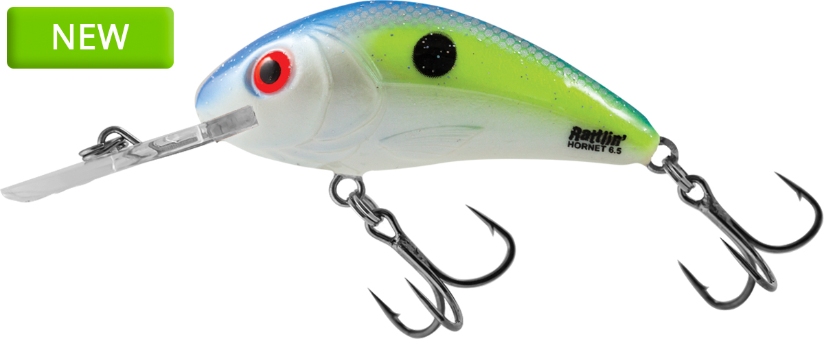 SEXY SHAD